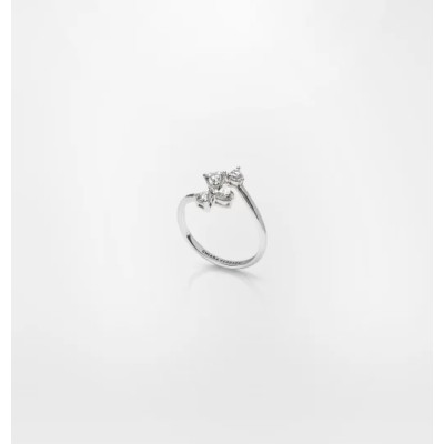 Anello Chiara Ferragni...